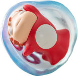 Alternative view 7 of Key Chain - Jellyfish Ponyo 