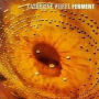Ferment