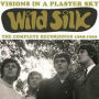 Visions in a Plaster Sky: The Complete Recordings 1968-1969