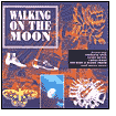 Walking on the Moon