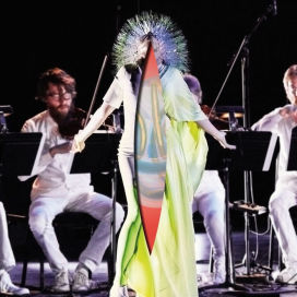 Vulnicura