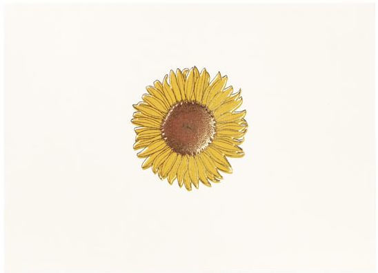 Correspondence Boxed Notecards Gold Sunflower