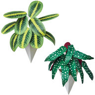 Title: Potted Hanging Plants Paper Craft Kit