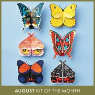 Title: Moths + Butterflies Paper Craft Kit