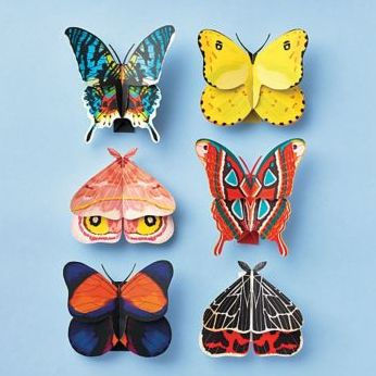 Moths + Butterflies Paper Craft Kit