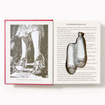 Alternative view 2 of Wonderful Wizard of Oz Boxed Ornament