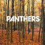 Things Are Strange (Panthers)