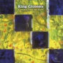 I Learned From The Gaels (King Creosote)