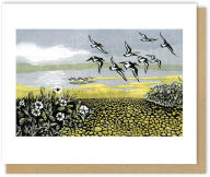Title: Oystercatcher Blank Greeting Card