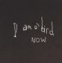 I Am a Bird Now