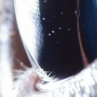 Title: Third Law, Artist: 