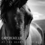 At The Heart Of It All (Capercaillie)
