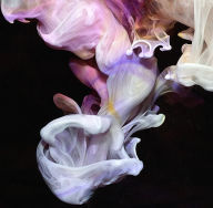 Title: Murmurations, Artist: Simian Mobile Disco