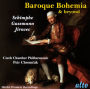Baroque Bohemia & Beyond, Vol. 6