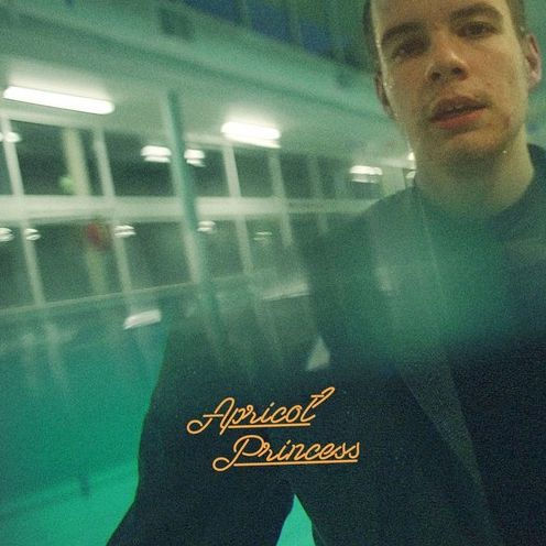Rex Orange County – Apricot Princess LP Apricot Princess by Rex Orange County | Vinyl LP | Barnes