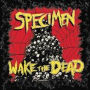 Wake The Dead (Specimen)