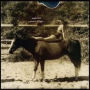 Summer of Sepia