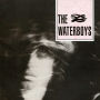 The Waterboys