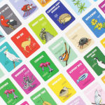 Alternative view 4 of Don't Be a Dik Dik card game for grown-ups