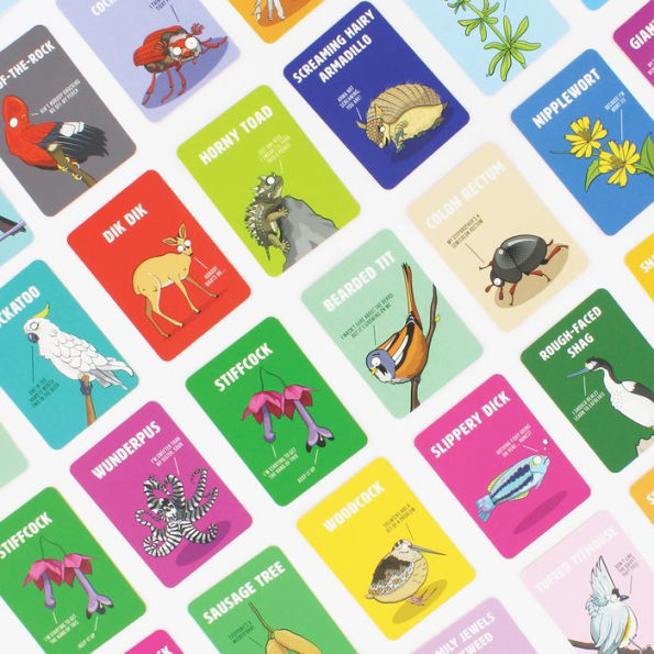 Don't Be a Dik Dik card game for grown-ups