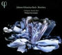 Johann Sebastian Bach: Motetten