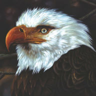 Title: The Hawk Is Howling, Artist: Mogwai