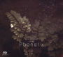 Phonetix