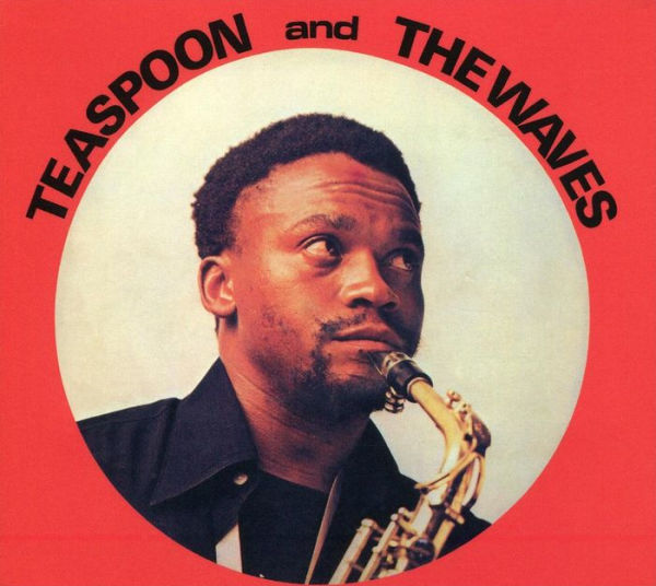 Teaspoon and the Waves