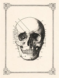 Title: Skull Boxed Note Cards and Envelopes 8/8