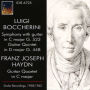 Luigi Boccherini: Symphony with guitar in C major G. 523; Guitar Quintet in D major G. 448; Franz Joseph Haydn: Guita