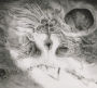 Into the Void of Human Vacuity