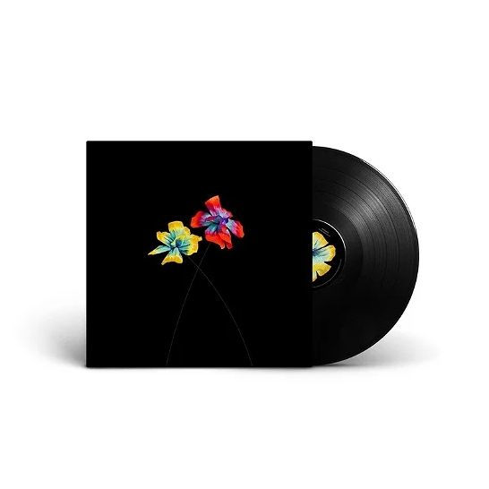 Così Speciale By Diodato Vinyl Lp Barnes And Noble®