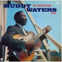At Newport 1960 (Muddy Waters)