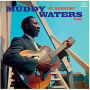 Muddy Waters at Newport 1960