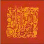 North East Ska Jazz Orchestra