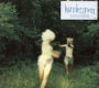 Harmlessness
