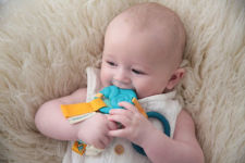 Alternative view 4 of Dolce Shelly the Crab & Ocean Activity Teether