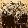 Black Stone Cherry