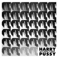 Title: Let's Build a Pussy, Artist: Harry Pussy