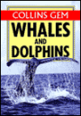 Whales and Dolphins