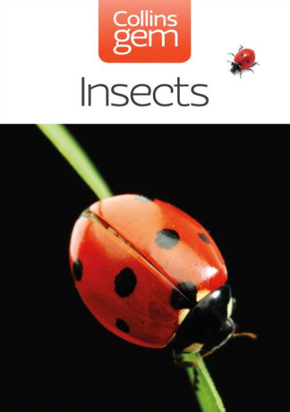 Insects