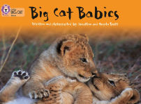 Alternative view 1 of Big Cat Babies: Band 05/Green