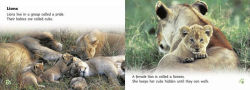 Alternative view 2 of Big Cat Babies: Band 05/Green