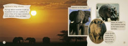 Alternative view 2 of Africa's Big Three: Band 07/Turquoise
