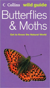 Butterflies and Moths: Get to Know the Natural World