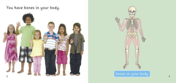 Bones: Band 02B/Red B