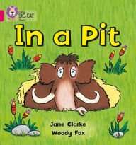 In a Pit