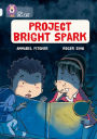 Project Bright Spark: Band 17/Diamond