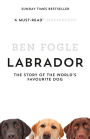 Labrador: The Story of the World's Favourite Dog