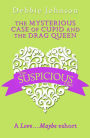 The Mysterious Case of Cupid and the Drag Queen: A Love.Maybe Valentine eShort